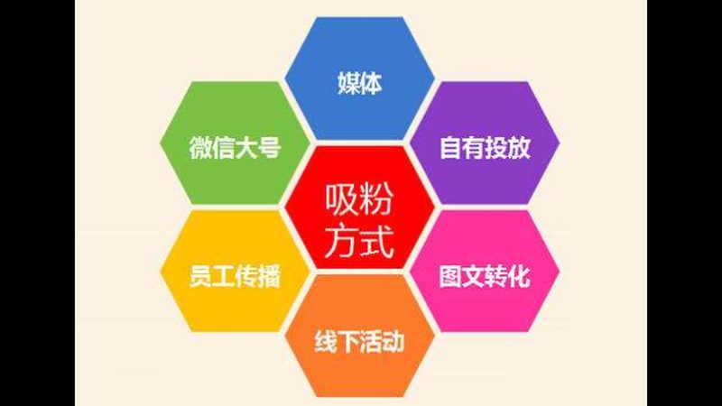 企业在选择网络营销推广公司时，要关注其提供的数据支撑。以下数据可作为参考：